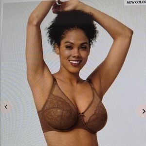 NWT HSIA Popular TicTok Enchanted Cocoa Brown Unlined Lace Underwire Bra 38DDD
